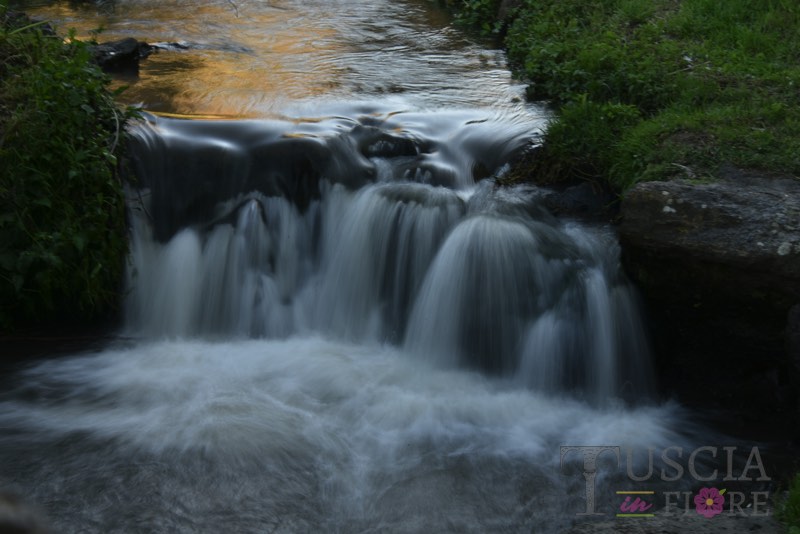 Bertolucci Simonetta - Cascata di Cavaterra