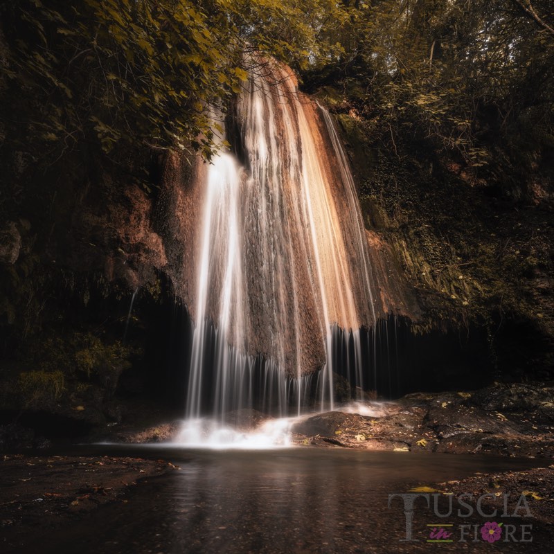 Funghi Alessio - Cascata Strozzavolpe