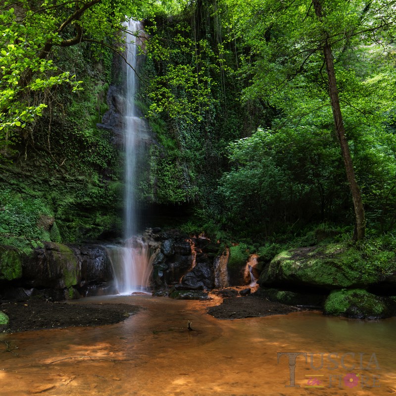 Meschini Mirella - Cascata dell'Infernaccio