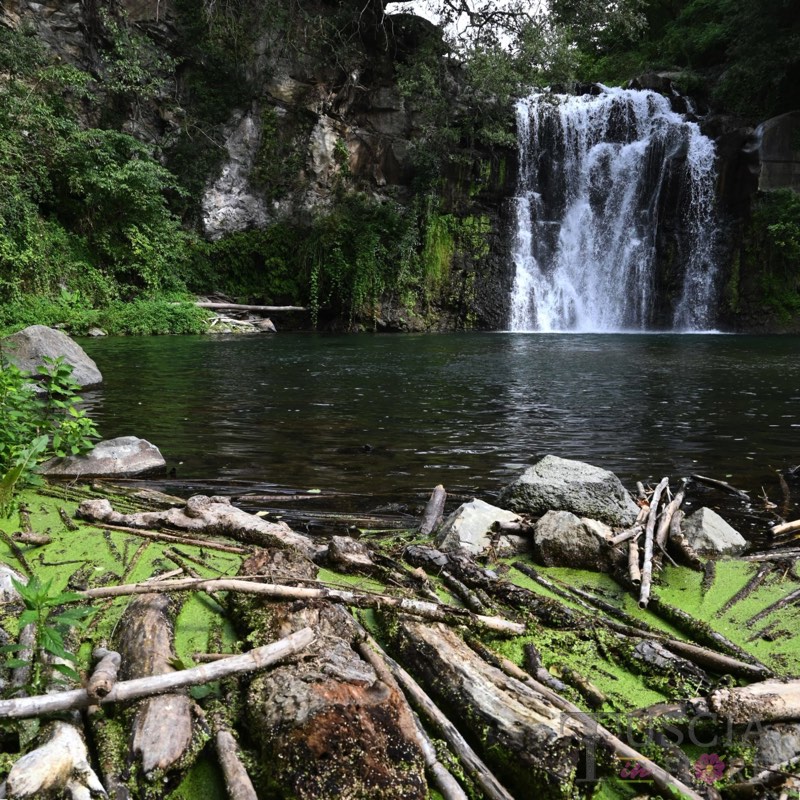 Nocente Patrizia - Cascata del Salabrone