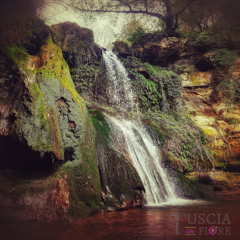 Pasquini Salvatore - Cascata dell'Acqua Matta