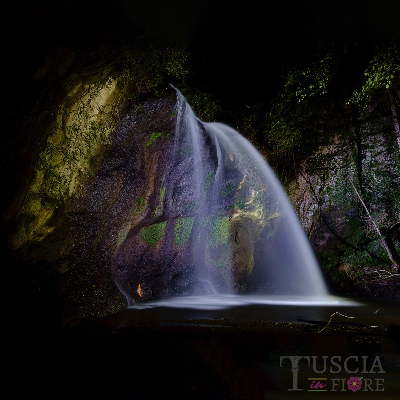 Salvatore De Mitri - Cascata del Rio Chiaro