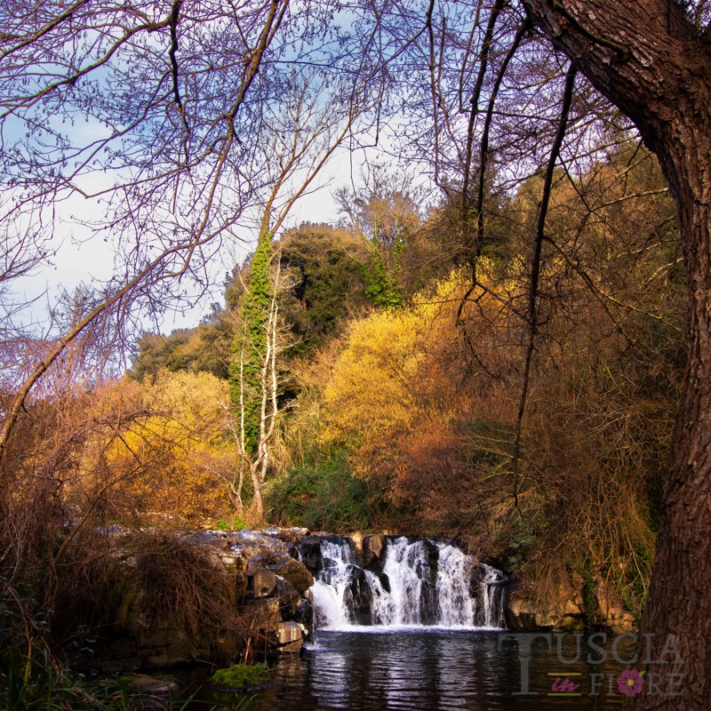 Saverino Mirko - Cascata del Salabrone