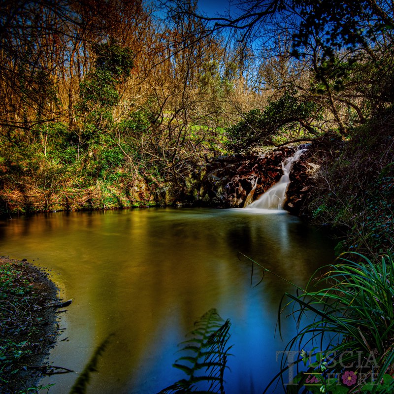 Speziani Ernesto - Cascata del Parco di Turona