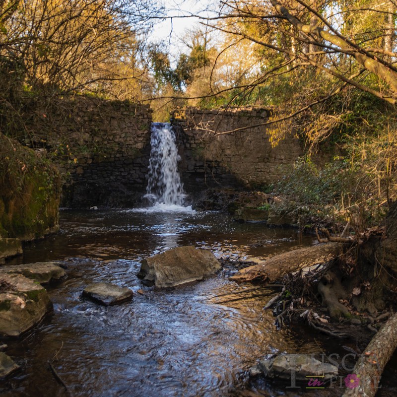 Tonnicchi Antonella - Cascata della Mola